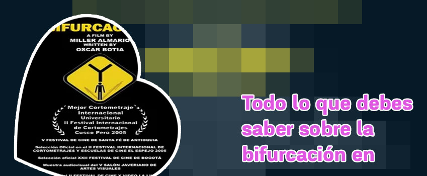 Bifurcacion criptomonedas