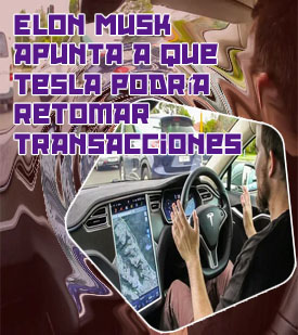 Criptomonedas tesla precio
