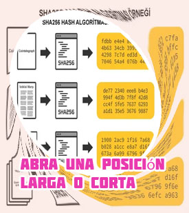 Hash a btc en español