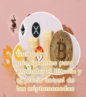 Precio actual de las criptomonedas